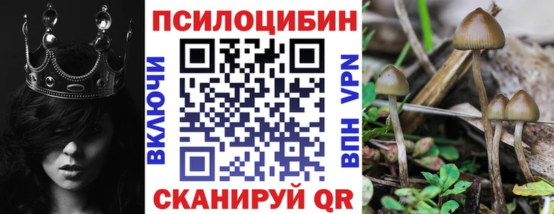 Псилоцибиновые грибы Magic Shrooms  KRAKEN   Новая Усмань  купить наркотик 